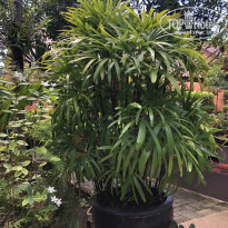 фото из отзыва ID 2654992