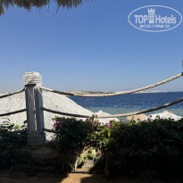 фото из отзыва ID 2655003