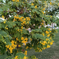 фото из отзыва ID 2655005