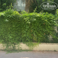 фото из отзыва ID 2655043