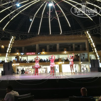 фото из отзыва ID 2655042