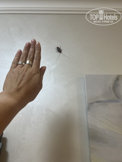 New photos from tourists Grand Way Театральный 3*