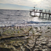 фото из отзыва ID 2655119