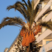 фото из отзыва ID 2655151