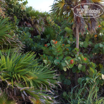 фото из отзыва ID 2655123