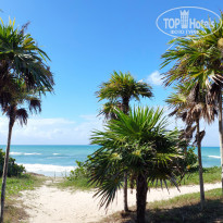 фото из отзыва ID 2655123