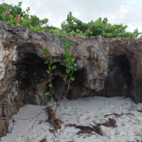 фото из отзыва ID 2655123