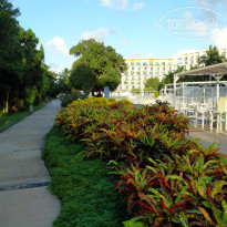 фото из отзыва ID 2655123