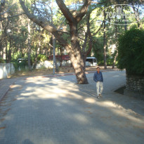 фото из отзыва ID 2655160