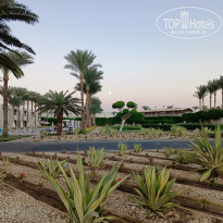 фото из отзыва ID 2655169