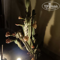 фото из отзыва ID 2655169