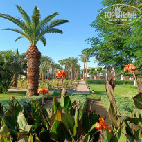 фото из отзыва ID 2655169