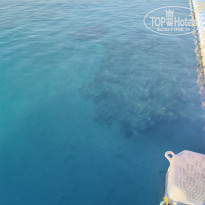 фото из отзыва ID 2655247