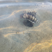 фото из отзыва ID 2655247