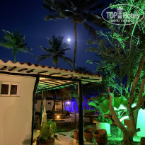 фото из отзыва ID 2655248