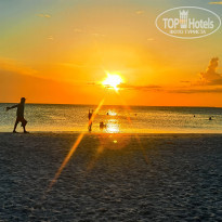 фото из отзыва ID 2655248