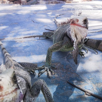 фото из отзыва ID 2655248