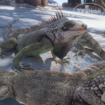 фото из отзыва ID 2655248