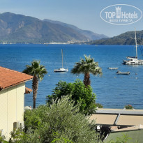 фото из отзыва ID 2655269