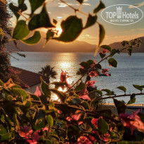 фото из отзыва ID 2655269