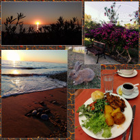 фото из отзыва ID 2655109