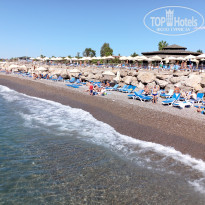 фото из отзыва ID 2655109