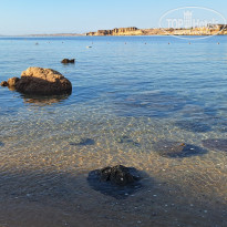 фото из отзыва ID 2655279