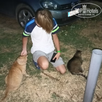 фото из отзыва ID 2655288