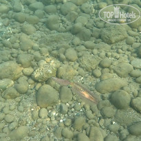 фото из отзыва ID 2655361