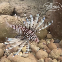 фото из отзыва ID 2655361