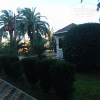 фото из отзыва ID 2655386