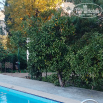 фото из отзыва ID 2655386