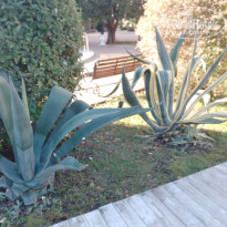 фото из отзыва ID 2655386