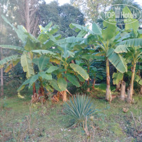 фото из отзыва ID 2655386