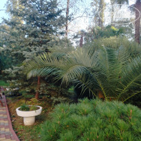 фото из отзыва ID 2655386