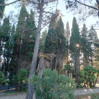 фото из отзыва ID 2655386