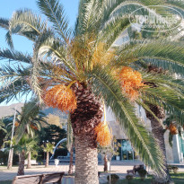 фото из отзыва ID 2655386