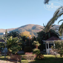 фото из отзыва ID 2655386