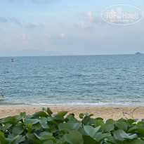 фото из отзыва ID 2655409