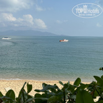 фото из отзыва ID 2655409