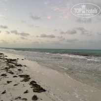 фото из отзыва ID 2655436