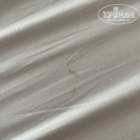 фото из отзыва ID 2655436