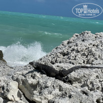 фото из отзыва ID 2655436