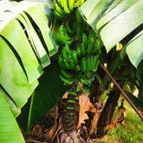 фото из отзыва ID 2655446