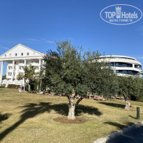 фото из отзыва ID 2655522