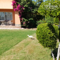 фото из отзыва ID 2655537