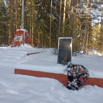 фото из отзыва ID 2655559