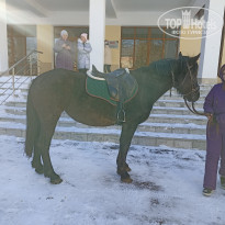 фото из отзыва ID 2655559