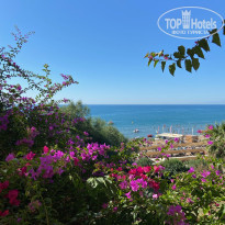 фото из отзыва ID 2655575