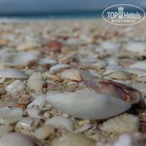 фото из отзыва ID 2655574